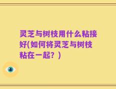 灵芝与树枝用什么粘接好(如何将灵芝与树枝粘在一起？)