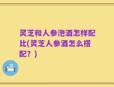 灵芝和人参泡酒怎样配比(灵芝人参酒怎么搭配？)