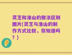 灵芝和淮山的做法区别图片(灵芝与淮山的制作方式比较，你知道吗？)
