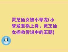 灵芝仙女被小孽龙(小孽龙惹祸上身，灵芝仙女拯救传说中的王朝)