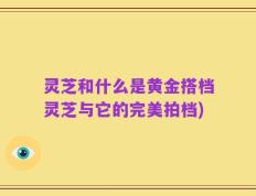 灵芝和什么是黄金搭档灵芝与它的完美拍档)