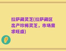 拉萨藏灵芝(拉萨藏区出产珍稀灵芝，市场需求旺盛)