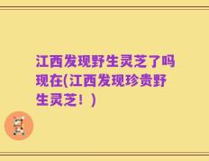 江西发现野生灵芝了吗现在(江西发现珍贵野生灵芝！)