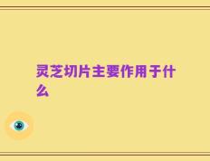 灵芝切片主要作用于什么