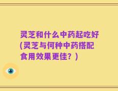 灵芝和什么中药起吃好(灵芝与何种中药搭配食用效果更佳？)