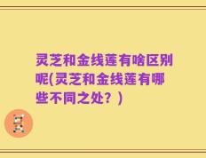 灵芝和金线莲有啥区别呢(灵芝和金线莲有哪些不同之处？)