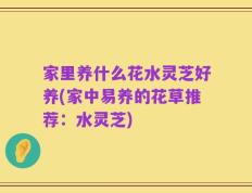家里养什么花水灵芝好养(家中易养的花草推荐：水灵芝)