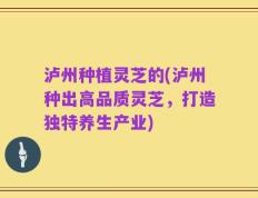泸州种植灵芝的(泸州种出高品质灵芝，打造独特养生产业)