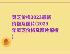 灵芝价格2023最新价格及图片(2023年灵芝价格及图片解析)