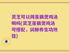 灵芝可以同莲藕煲鸡汤喝吗(灵芝莲藕煲鸡汤可搭配，润肺养生功效佳)