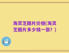 海灵芝图片价格(海灵芝图片多少钱一张？)