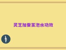 灵芝加蚕茧泡水功效