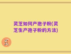灵芝如何产孢子粉(灵芝生产孢子粉的方法)