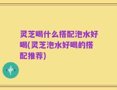 灵芝喝什么搭配泡水好喝(灵芝泡水好喝的搭配推荐)