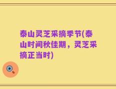 泰山灵芝采摘季节(泰山时间秋佳期，灵芝采摘正当时)