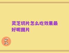 灵芝切片怎么吃效果最好呢图片