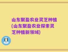 山东聚盈农业灵芝种植(山东聚盈农业探索灵芝种植新领域)