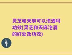 灵芝和天麻可以泡酒吗功效(灵芝和天麻泡酒的好处及功效)