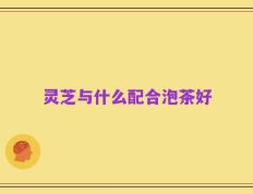 灵芝与什么配合泡茶好