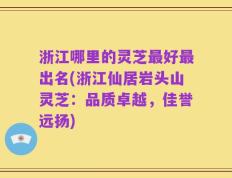 浙江哪里的灵芝最好最出名(浙江仙居岩头山灵芝：品质卓越，佳誉远扬)