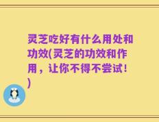 灵芝吃好有什么用处和功效(灵芝的功效和作用，让你不得不尝试！)