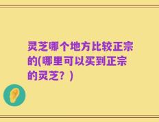 灵芝哪个地方比较正宗的(哪里可以买到正宗的灵芝？)