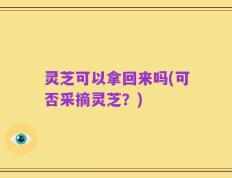 灵芝可以拿回来吗(可否采摘灵芝？)