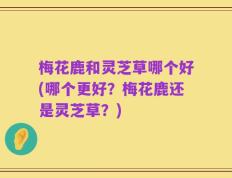 梅花鹿和灵芝草哪个好(哪个更好？梅花鹿还是灵芝草？)