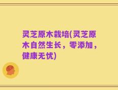 灵芝原木栽培(灵芝原木自然生长，零添加，健康无忧)