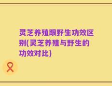 灵芝养殖跟野生功效区别(灵芝养殖与野生的功效对比)
