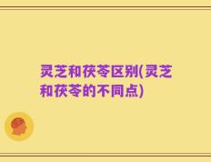 灵芝和茯苓区别(灵芝和茯苓的不同点)