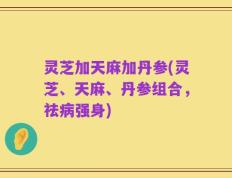 灵芝加天麻加丹参(灵芝、天麻、丹参组合，祛病强身)