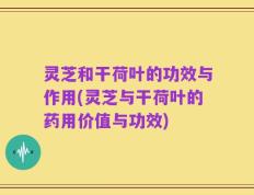 灵芝和干荷叶的功效与作用(灵芝与干荷叶的药用价值与功效)