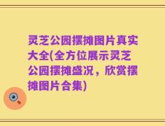 灵芝公园摆摊图片真实大全(全方位展示灵芝公园摆摊盛况，欣赏摆摊图片合集)