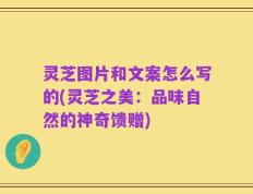 灵芝图片和文案怎么写的(灵芝之美：品味自然的神奇馈赠)