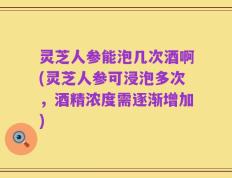 灵芝人参能泡几次酒啊(灵芝人参可浸泡多次，酒精浓度需逐渐增加)