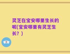 灵芝在宝安哪里生长的呢(宝安哪里有灵芝生长？)
