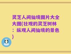 灵芝人间仙境图片大全大图(壮观的灵芝树林：纵观人间仙境的景色)