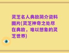 灵芝名人典故简介资料图片(灵芝神奇之处尽在典故，难以想象的灵芝世界)