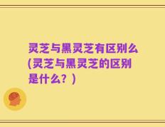 灵芝与黑灵芝有区别么(灵芝与黑灵芝的区别是什么？)