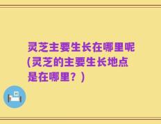 灵芝主要生长在哪里呢(灵芝的主要生长地点是在哪里？)