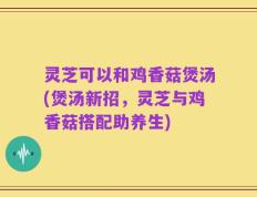 灵芝可以和鸡香菇煲汤(煲汤新招，灵芝与鸡香菇搭配助养生)