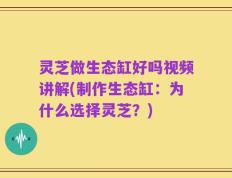 灵芝做生态缸好吗视频讲解(制作生态缸：为什么选择灵芝？)