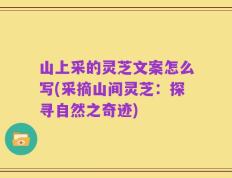 山上采的灵芝文案怎么写(采摘山间灵芝：探寻自然之奇迹)