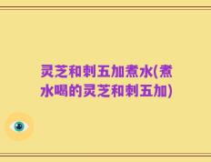 灵芝和刺五加煮水(煮水喝的灵芝和刺五加)