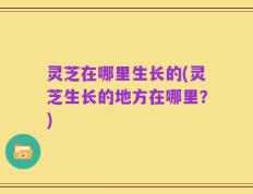 灵芝在哪里生长的(灵芝生长的地方在哪里？)