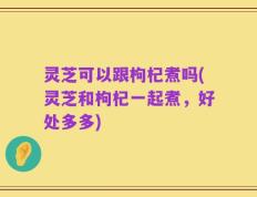 灵芝可以跟枸杞煮吗(灵芝和枸杞一起煮，好处多多)