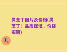 灵芝丁图片及价格(灵芝丁：品质保证，价格实惠)