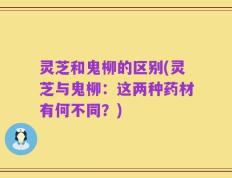 灵芝和鬼柳的区别(灵芝与鬼柳：这两种药材有何不同？)