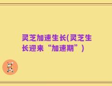 灵芝加速生长(灵芝生长迎来“加速期”)